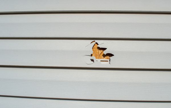 Siding Hole Repair in Fishers